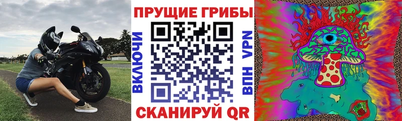 Галлюциногенные грибы MAGIC MUSHROOMS  Купить  Байкальск 